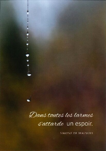 [CRT-21CS223] Carte simple - 10x15cm - Dans toutes les larmes...