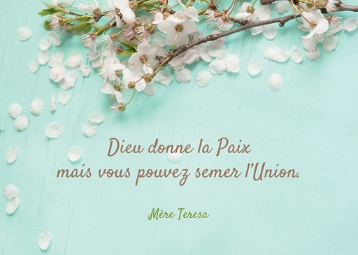 [CRT-21CS264] Kaart - 10x15cm - Mère Térèsa 'Dieu donne la Paix ...'