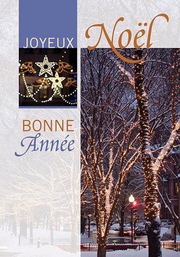 [CRT-21NS016] Carte simple Noël - 10x15cm - Joyeux Noël/Bonne Année