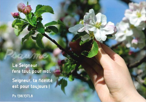 [CRT-31CS003] Kaart 10,5x15cm - Psaume