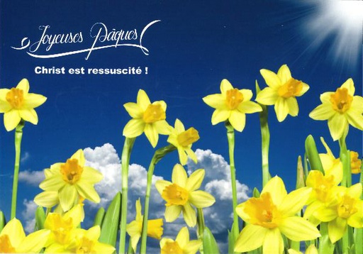 [CRT-31CS012] Carte simple 10.5x15cm - Joyeuses Pâques, Christ est ressusc