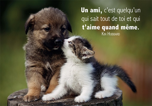 [CRT-31CS017] Carte simple 10.5x15cm - Un ami c'est quelqu'un