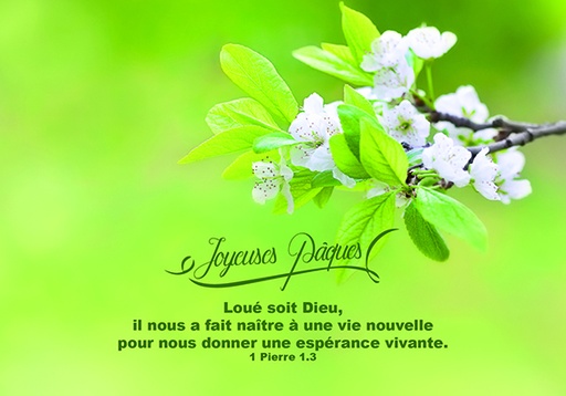[CRT-31CS037] Carte simple 10,5x15cm Joyeuses Pâques Loué