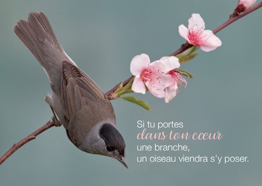 [CRT-31CS038] Carte simple 10x15cm - Si tu portes dans ton coeur