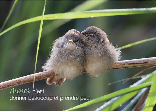 [CRT-31CS039] Kaart 10,5x15cm - Aimer c'est donner beaucoup