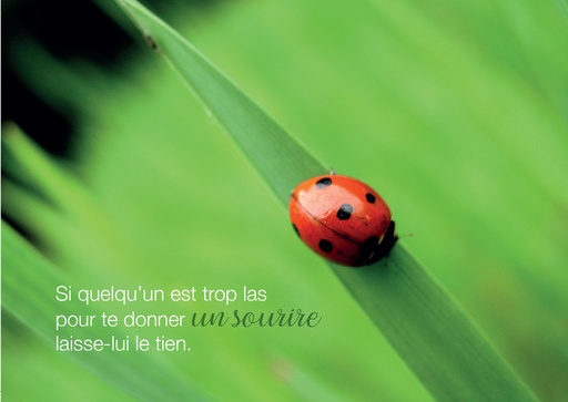 [CRT-31CS040] Kaart 10,5x15cm - Si quelqu'un est trop las...