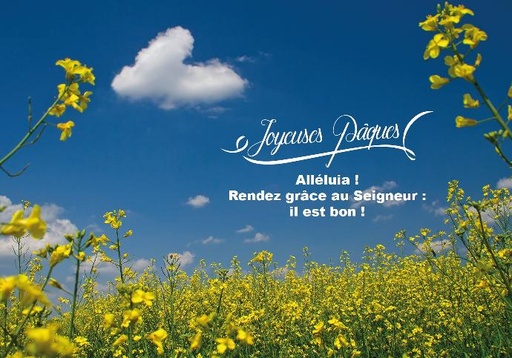 [CRT-31CS043] Carte simple 10,5x15cm - Joyeuses Pâques Alléluia!...
