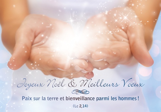 [CRT-31NS013] Carte simple Noël - 10,5x15cm - Joyeux Noël et meilleures...