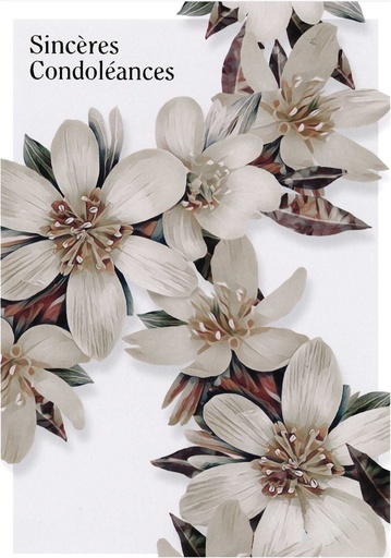 [CRT-50CON10026] Carte double/envelloppe sous cello - 12x17cm - Sincères Cond