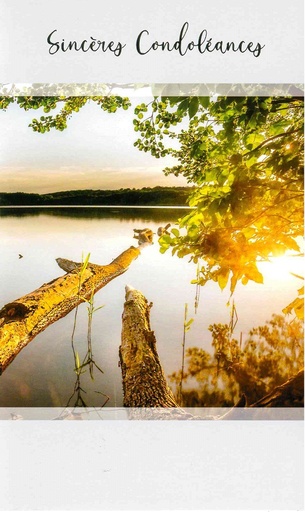 [CRT-50CON186] Wenskaart Sincères condoléances - 9,5x16cm/cello+omslag