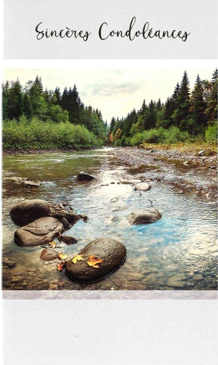 [CRT-50CON188] Wenskaart Sincères condoléances - 9,5x16cm/cello+omslag