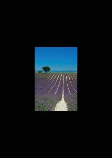 [GIR-82CSIP 2] CARTES SIMPLES 10,5*14,8CM