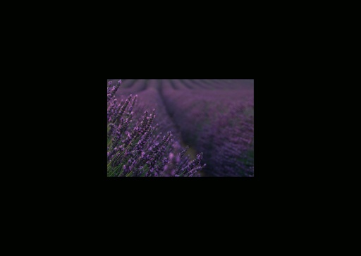 [GIR-82CSIP 17] CARTES SIMPLES 10,5*14,8CM