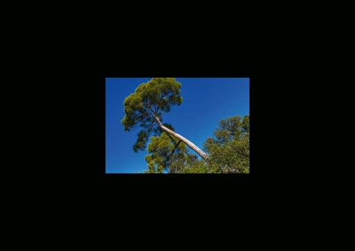 [GIR-82CSIP 28] CARTES SIMPLES 10,5*14,8CM