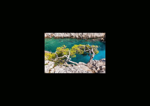 [GIR-82CSIP 30] CARTES SIMPLES 10,5*14,8CM