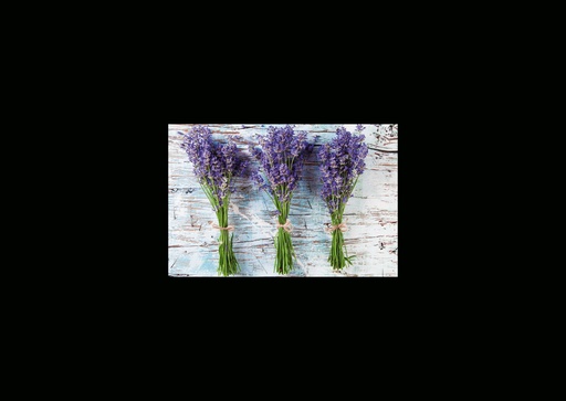 [GIR-82CSIP 31] CARTES SIMPLES 10,5*14,8CM