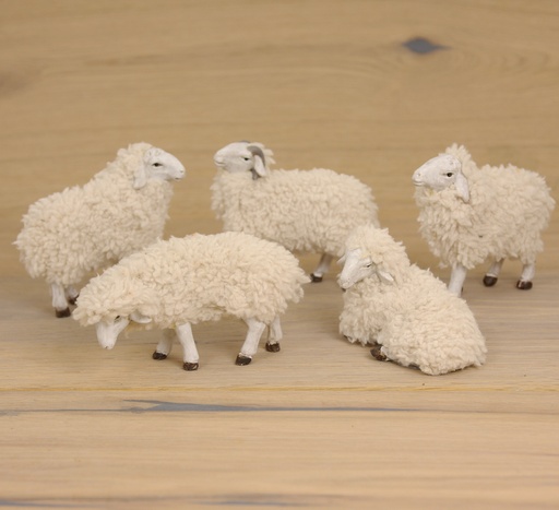 [KGR-47SCH097K] Set van 5 Schaapjes met wol (voor fig. tot H 9cm)