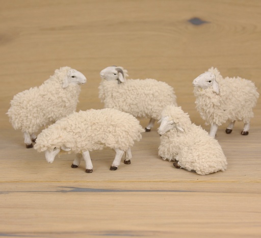 [KGR-47SCH097M] Set van 5 schapen met wol (voor pers.. tot H 12cm)