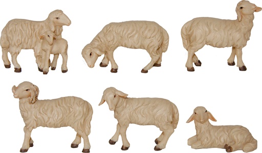 [KGR-47SCH88] Set van 6 schapen (voor fig. van H 7-9cm)