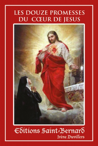 [LIV-20LES12PRO] Boekje Les 12 promesses