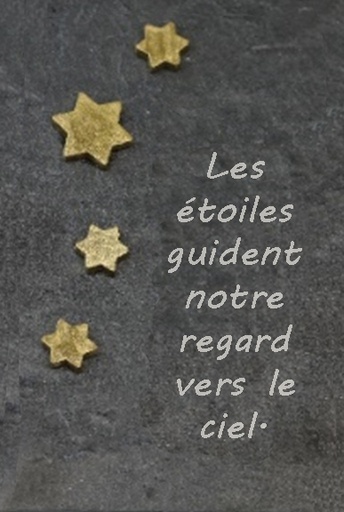 [PLK-41ARD05FR] Leisteen/sterren 'Les étoiles guident' - 8x13cm