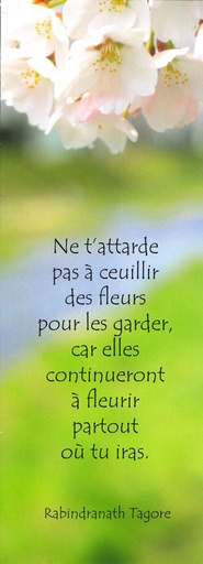 [SGC-21SC033] Signet communion - 5,5x15cm Ne t'attarde...