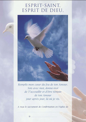 [SVN-21CONFIR] Aandenken Vormsel - DIC101