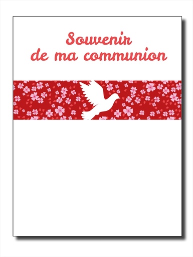 [GIR-82CSI 8] CARTES SIMPLES 10*7CM