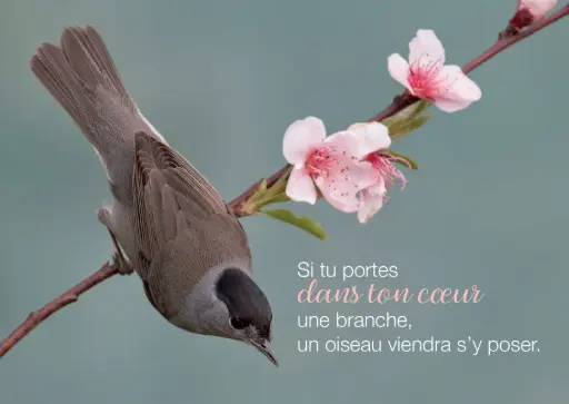 [ATM-04TFR007] Magneet - 55x80mm - Si tu parles dans ...