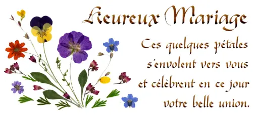[PDO-00CFR098] Kaart serie 'Citations - Le Mariage' - 'Ces quelques pétales...' - 10,5x21cm + envel.