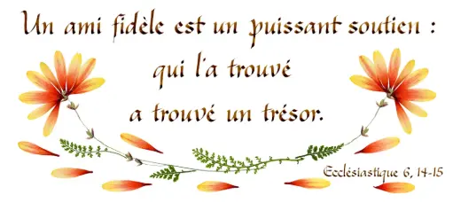 [PDO-00CFR002] Carte série 'Citations - L'Amitié' - 'Un ami fidèle est...' - 10,5x21cm + envel.