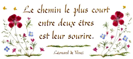 [PDO-00CFR050] Kaart serie 'Citations - L'Amour' - 'Le chemin le plus court...' - 10,5x21cm + envel.
