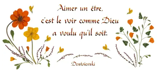 [PDO-00CFR055] Kaart serie 'Citations - L'Amour' - 'Aimer un être...' - 10,5x21cm + envel.