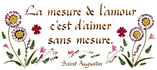 [PDO-00CFR061] Kaart serie 'Citations - L'Amour' - 'La mesure de l'amour...' - 10,5x21cm + envel.
