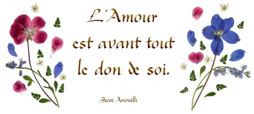 [PDO-00CFR068] Carte série 'Citations - L'Amour' - 'L'amour est avant tout...' - 10,5x21cm + envel.
