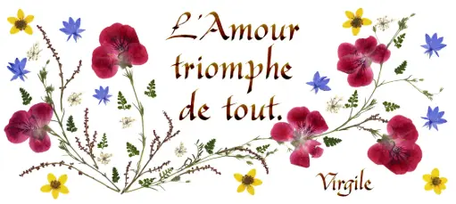 [PDO-00CFR075] Carte série 'Citations - L'Amour' - 'L'Amour triomphe de tout' - 10,5x21cm + envel.