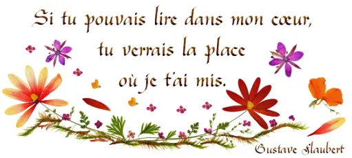 [PDO-00CFR091] Carte série 'Citations - L'Amour' - 'Si tu pouvais lire ...' - 10,5x21cm + envel.