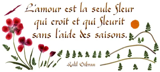 [PDO-00CFR114] Kaart serie 'Citations - L'Amour' - 'L'Amour est la seule fleur ...' - 10,5x21cm + envel.