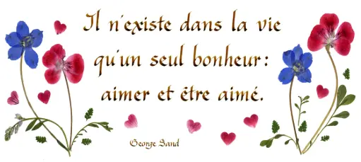 [PDO-00CFR141] Kaart serie 'Citations - L'Amour' - 'Il n'existe dans la vie...' - 10,5x21cm + envel. 