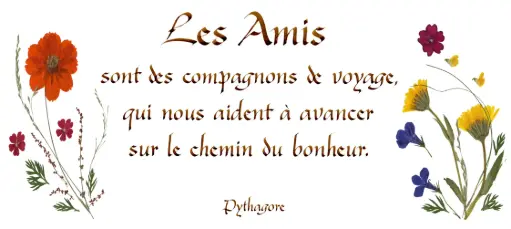 [PDO-00CFR031] Carte série 'Citations - L'Amitié' - 'Les Amis sont des compagnons...' - 10,5x21cm + envel.