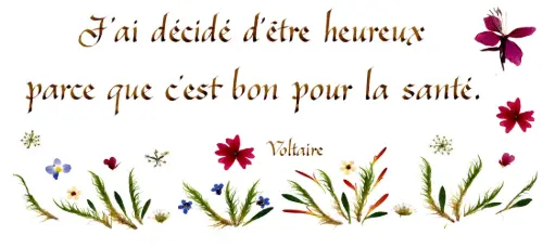 [PDO-00CFR069] Kaart serie 'Citations - Le Bonheur' - 'J'ai décidé d'être heureux...' - 10,5x21cm + envel.