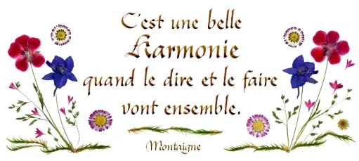 [PDO-00CFR038] Kaart serie 'Citations - La Beauté' - 'C'est une belle harmonie...' - 10,5x21cm + envel.