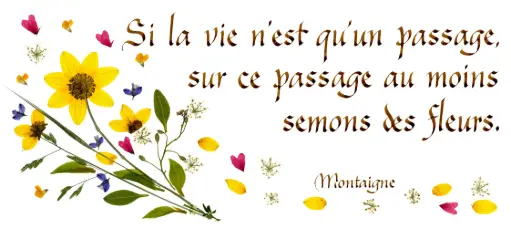 [PDO-00CFR016] Carte série 'Citations - La Vie' - 'Si la vie n'est qu'un passage...' - 10,5x21cm + envel.