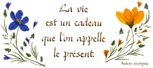[PDO-00CFR030] Carte série 'Citations - La Vie' - 'La vie est un cadeau...' - 10,5x21cm + envel.