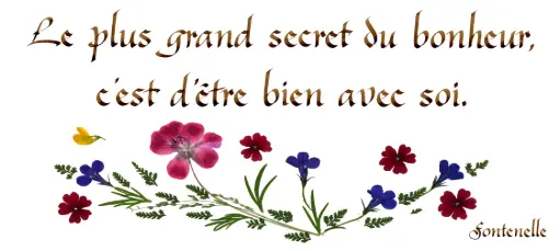 [PDO-00CFR146] Kaart serie 'Citations - La Vie' - 'Le plus grand secret du bonheur...' - 10,5x21cm + envel.