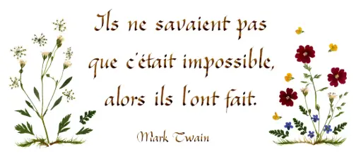 [PDO-00CFR067] Carte série 'Citations - La Vie' - 'Ils ne savaient pas...' - 10,5x21cm + envel.