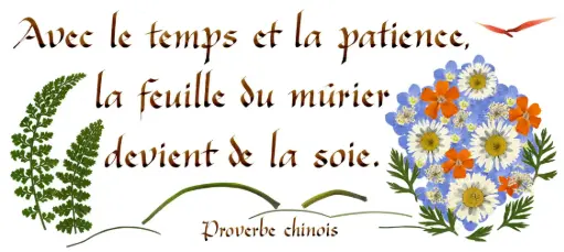 [PDO-00CFR159] Kaart serie 'Citations - Sagesse' - 'Avec le temps et la patience...' - 10,5x21cm + envel.