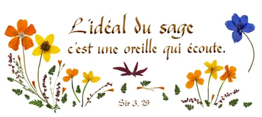 [PDO-00CFR147] Kaart serie 'Citations - Sagesse' - 'L'idéal du sage...' - 10,5x21cm + envel.
