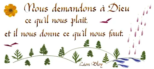 [PDO-00CFR177] Carte série 'Citations - Spiritualité' - 'Nous demandons à Dieu...' - 10,5x21cm + envel.