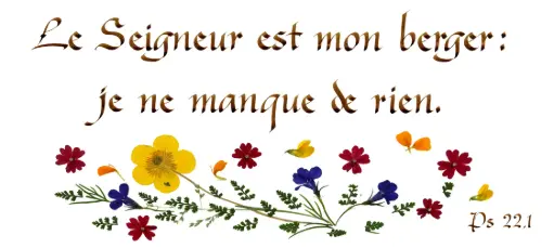 [PDO-00CFR226] Kaart serie 'Citations - Psaumes' - 'Le Seigneur est mon berger...' - 10,5x21cm + envel.